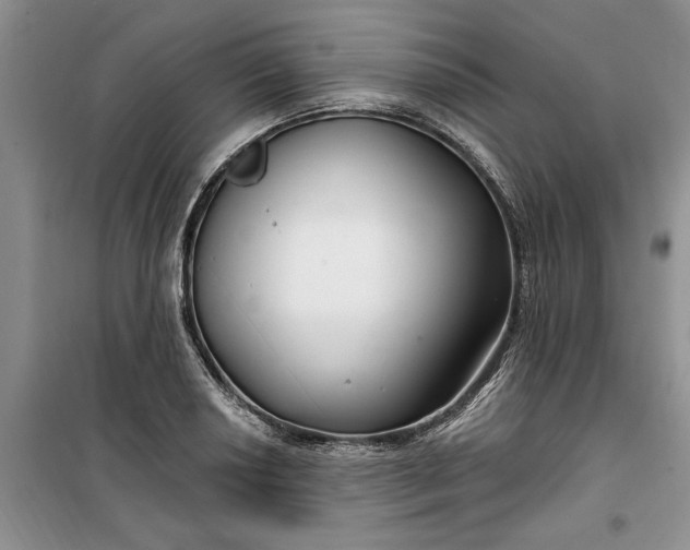 X0000099521034200805291207