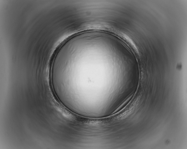 X0000099521035200805291207