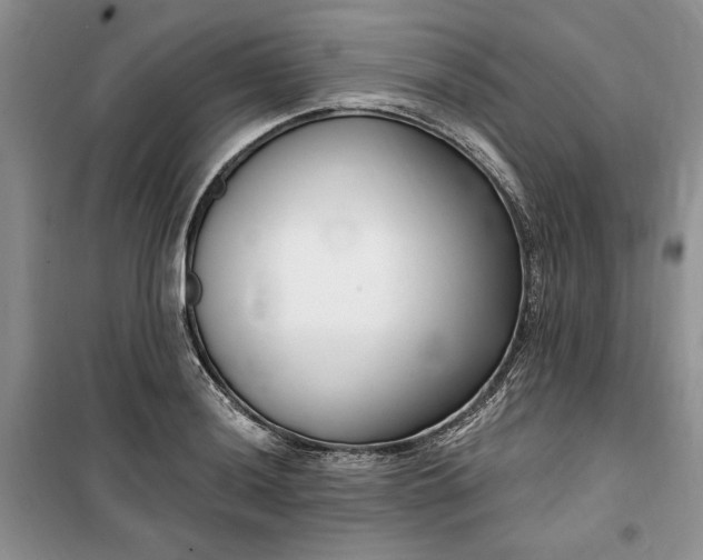 X0000099521036200805291207