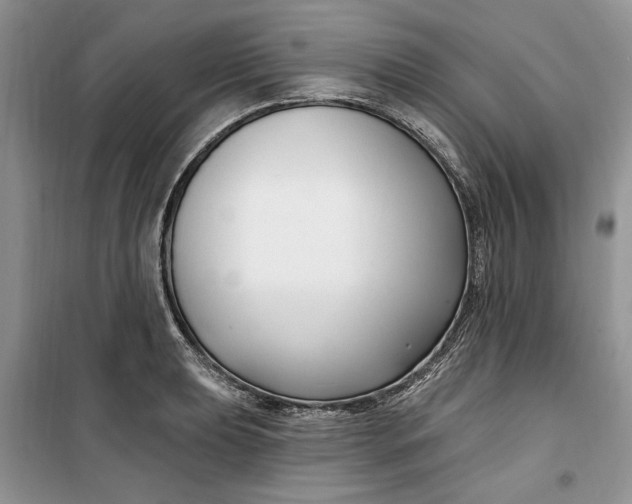 X0000099521039200805291207