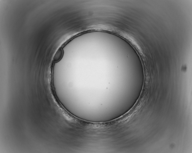 X0000099521040200805291207