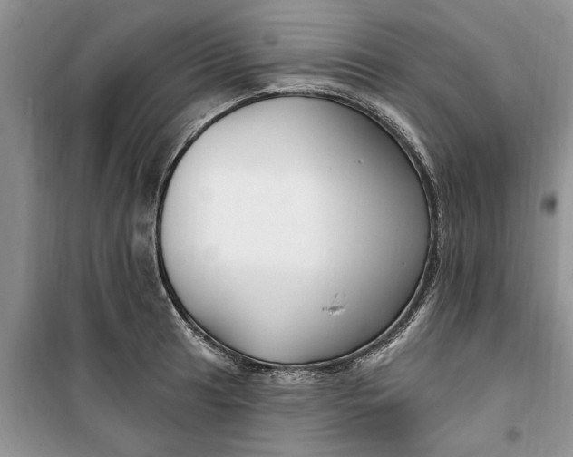 X0000099521041200805291207