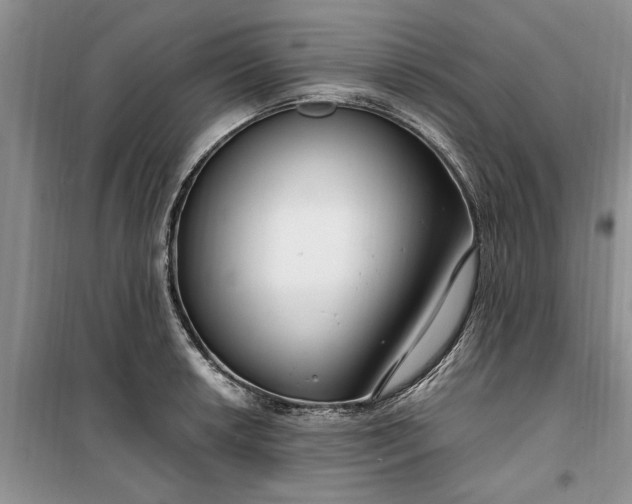 X0000099521042200805291207