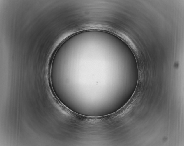 X0000099521043200805291207