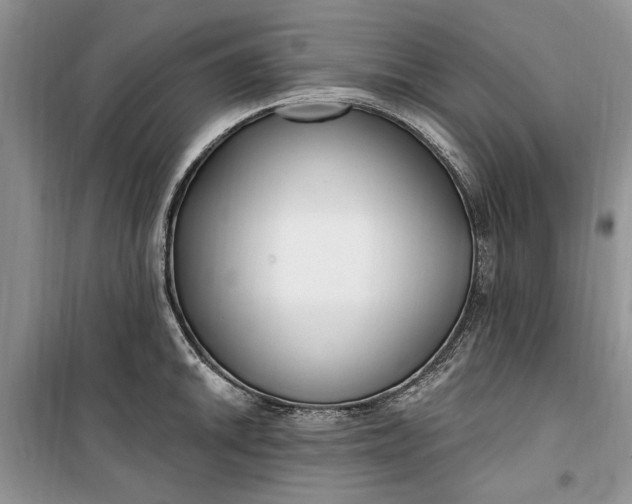 X0000099521046200805291207