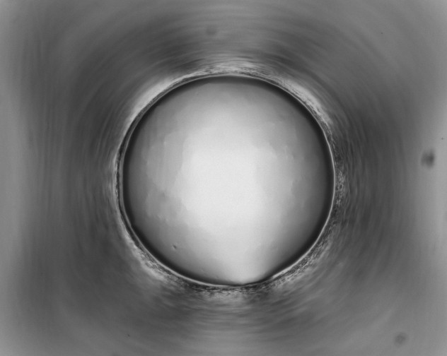 X0000099521047200805291207