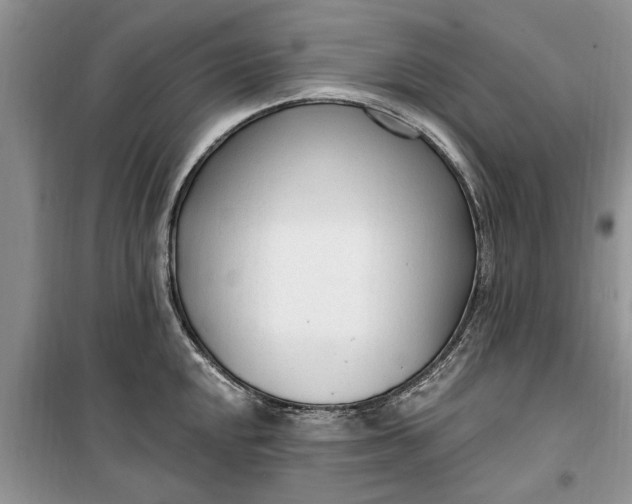 X0000099521048200805291207