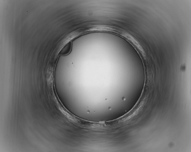 X0000099521049200805291207