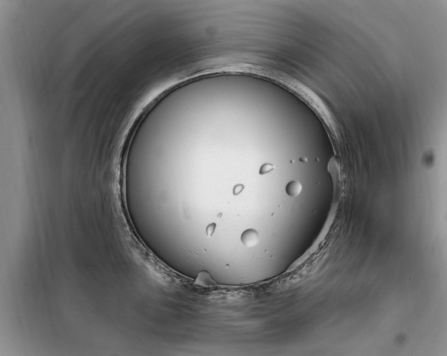 X0000099521051200805291207