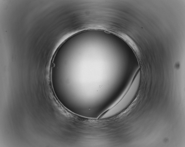 X0000099521052200805291207