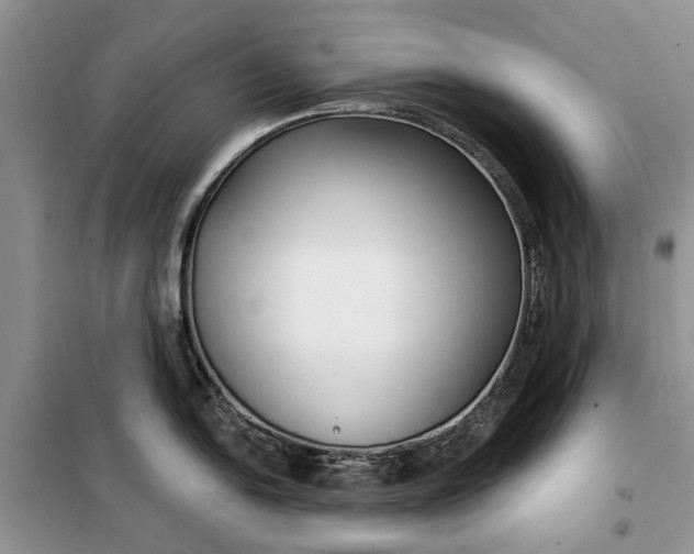 X0000099521054200805291207