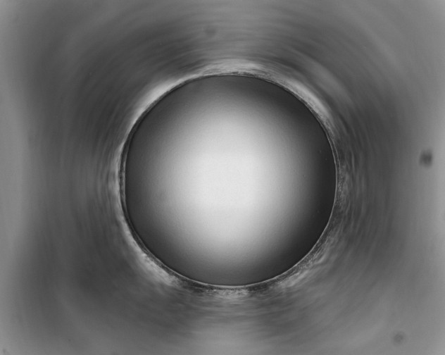 X0000099521055200805291207