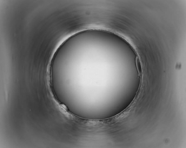 X0000099521056200805291207