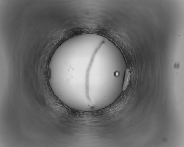 X0000099521057200805291206