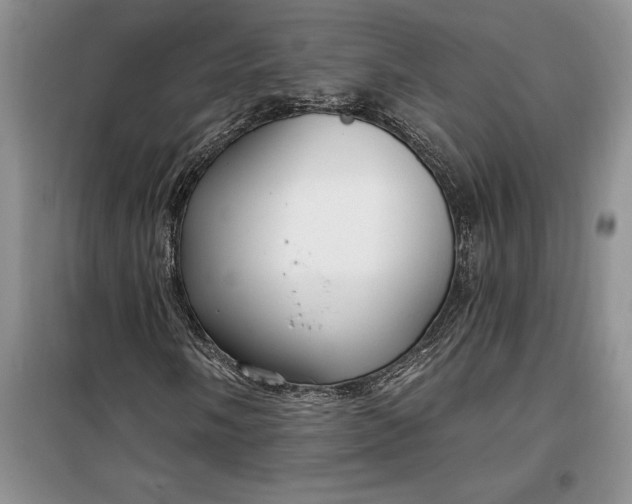 X0000099521058200805291206