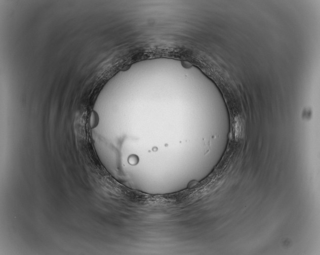 X0000099521059200805291206