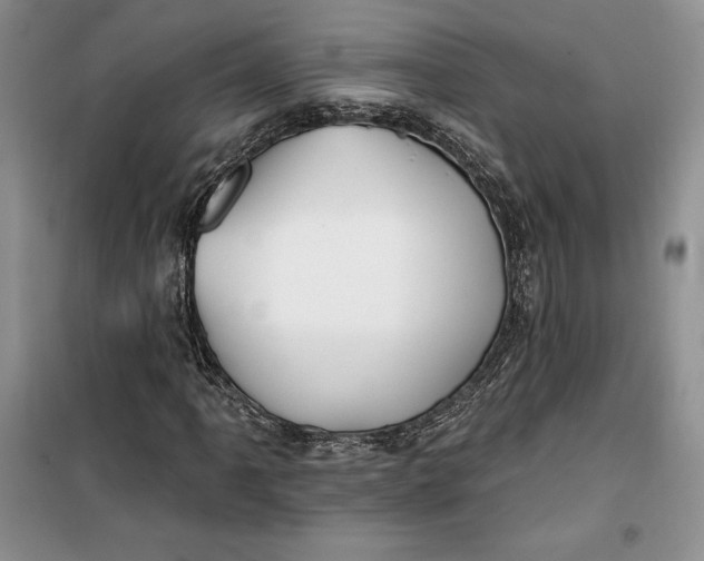 X0000099521061200805291206