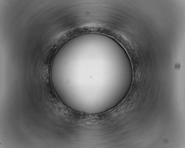 X0000099521062200805291206