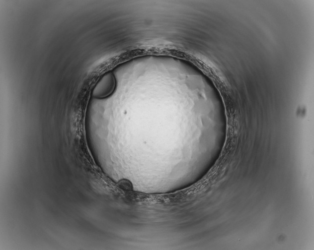 X0000099521063200805291206