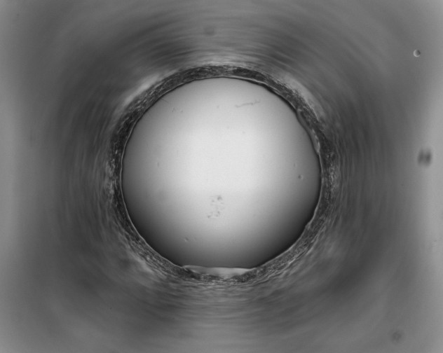 X0000099521064200805291206