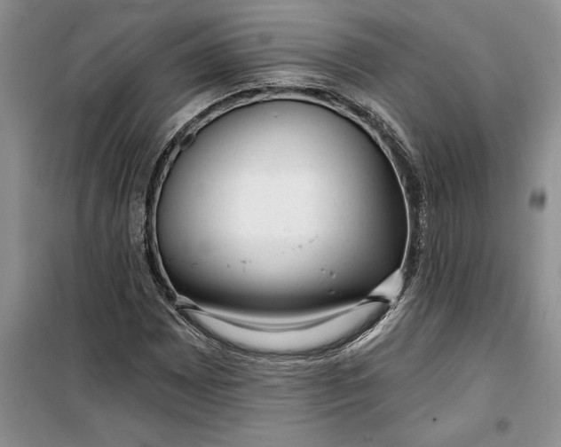 X0000099521065200805291206