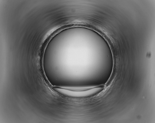 X0000099521066200805291206