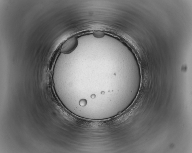 X0000099521067200805291206