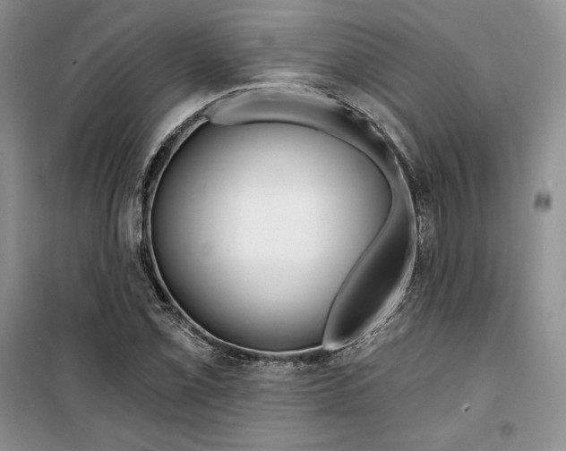 X0000099521069200805291206