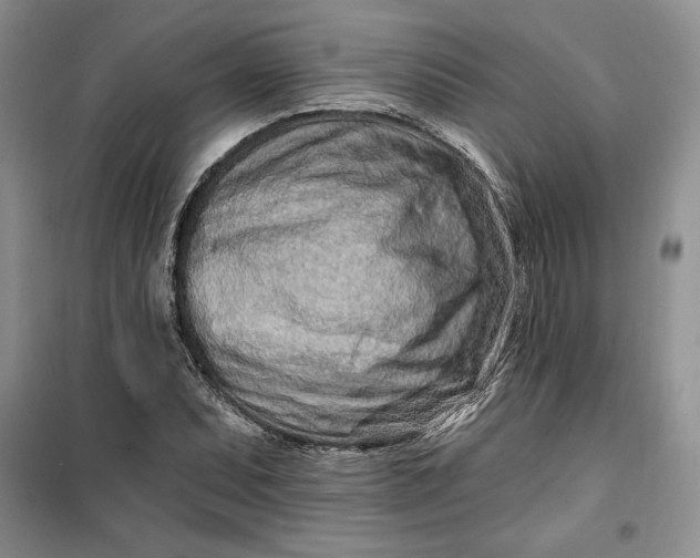 X0000099521071200805291206