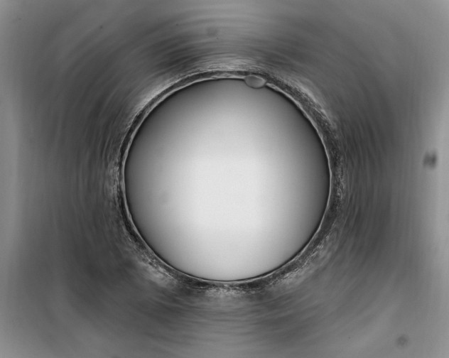 X0000099521073200805291206