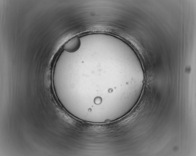 X0000099521075200805291206