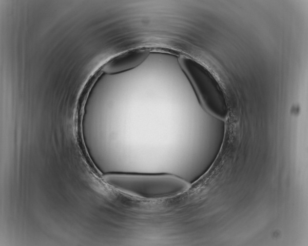 X0000099521076200805291206