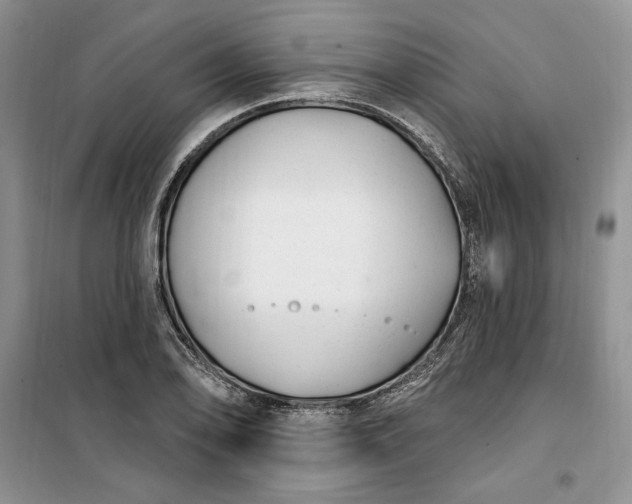 X0000099521078200805291206