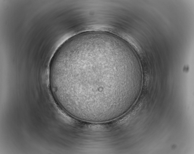 X0000099521079200805291206