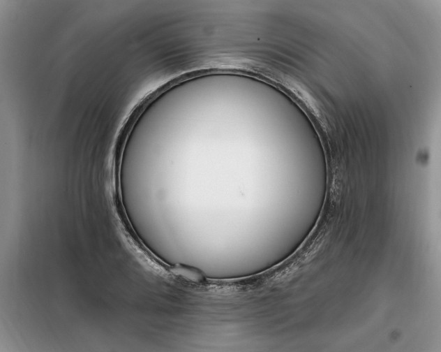 X0000099521080200805291206