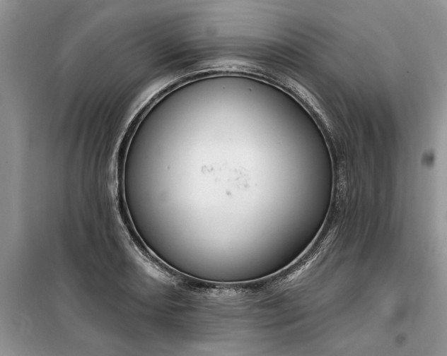 X0000099521082200805291206