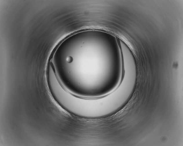 X0000099521084200805291206