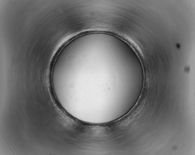 X0000099521085200805291206