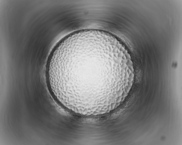 X0000099521086200805291206