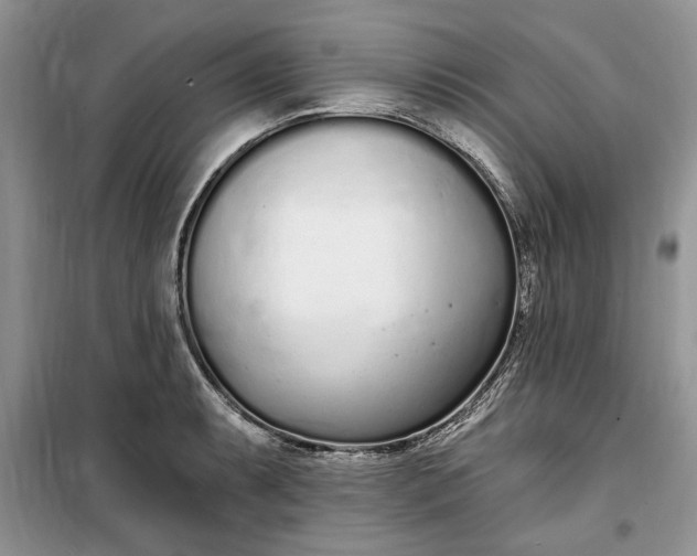 X0000099521087200805291206