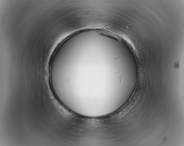 X0000099521088200805291206