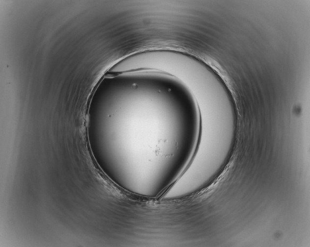 X0000099521089200805291206