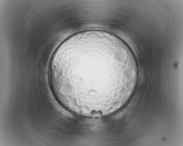 X0000099521090200805291206