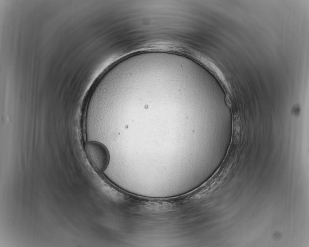 X0000099521091200805291206