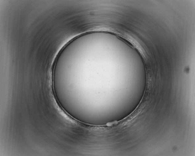 X0000099521092200805291206