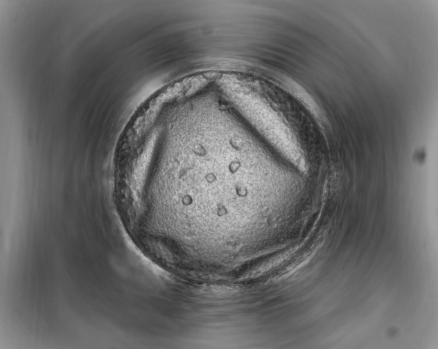 X0000099521095200805291206