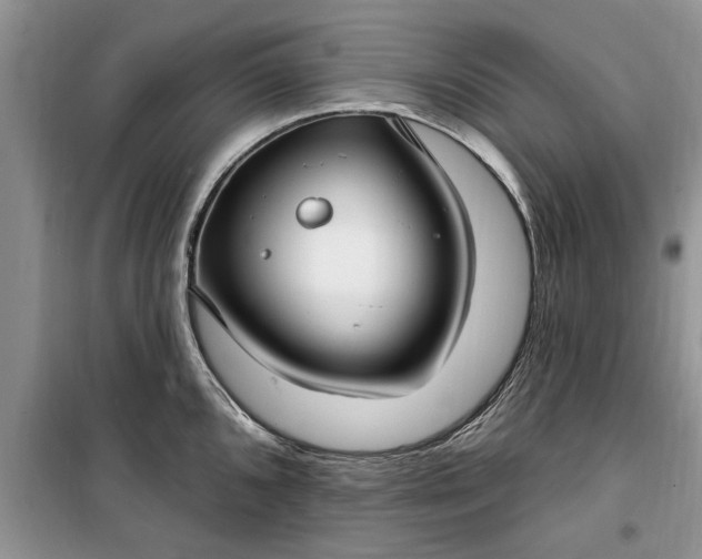 X0000099521096200805291206