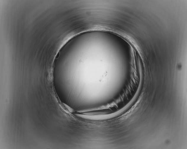 X0000099521097200805291206