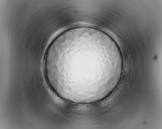 X0000099521098200805291206