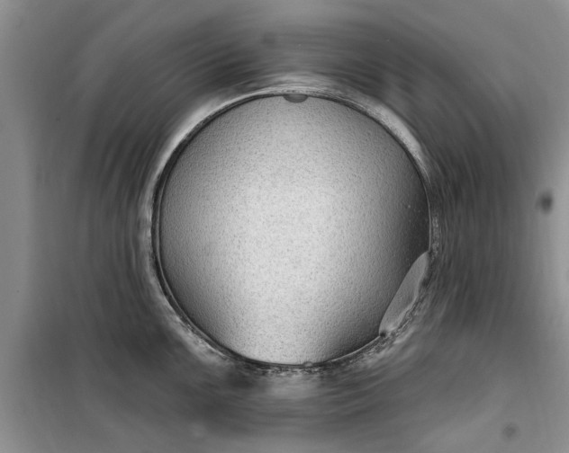 X0000099521099200805291206